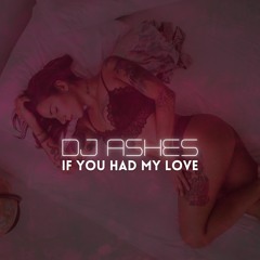 DJ Ashes - If You Had My Love