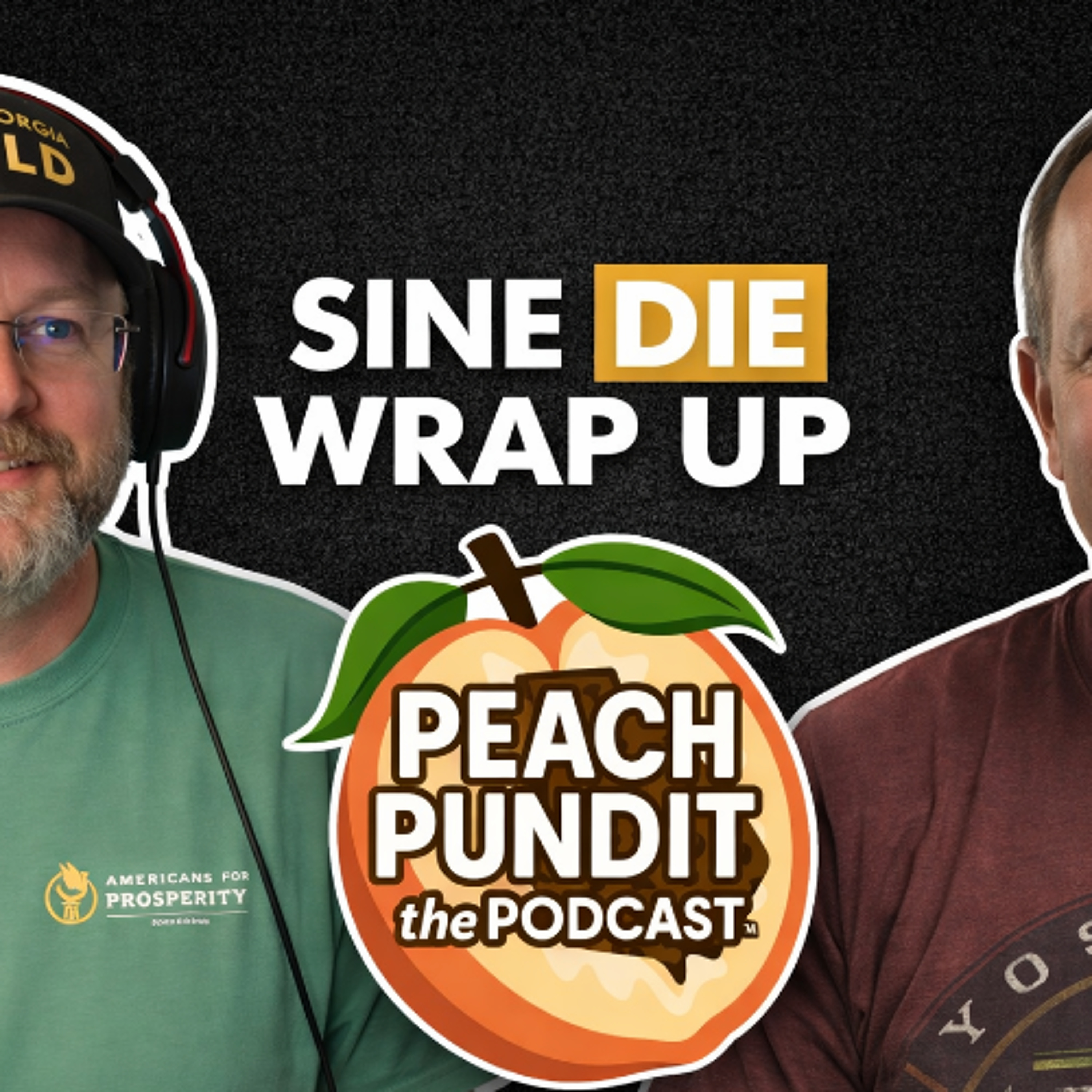 Sine Die Wrap-up and the fallout that resulted episode artwork