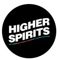 Higher Spirits Disco Promo Mix by FLPN