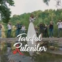 Taraful Rutenilor - Ziua-n care tu m-ai sărutat (𝔻𝕛𝕊 ℝ𝕖𝕨𝕠𝕣𝕜) ℍ𝕚𝕥 𝟚𝟘𝟚𝟙