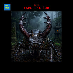 EJdB - Feel the Sub (Radio Edit)