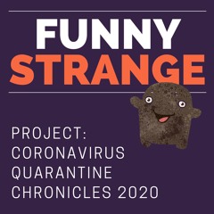 #2:  Nine Hairbrushes