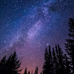 Midnight Without You