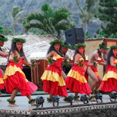 Review Special Price Aloha Kai Luau
