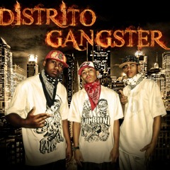 Distrito Gangster-Nóis tá na cena