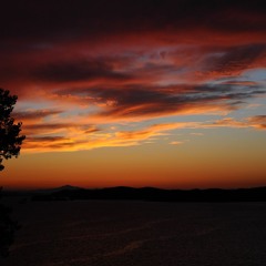 NIGHT FALL