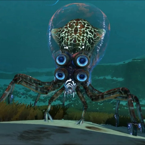 Odyssey of the Squid (Free Download)