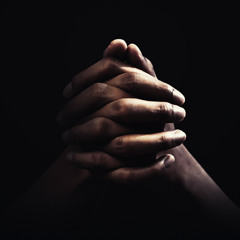 Dontarius - heavenly harmony 😇