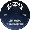 下载视频: PREMIERE: Bushwacka - Heaven on Earth (Main Mix) (Rekids)