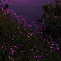Interlude