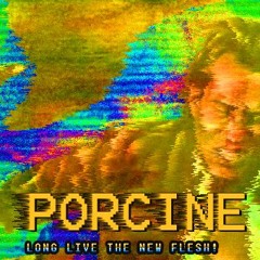 The Sun Creeps Through Your Window & Into Your Eyes