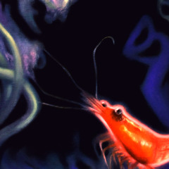 Krill Bill