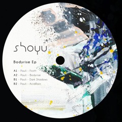 Premiere: A1. Pauli - First H [SHOYU003]