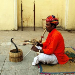 (432hz)snakewhisperer
