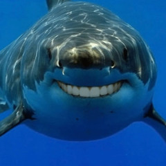 Sharks - Out My Head VIP (Flip) [Free Download]