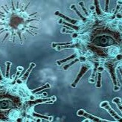 Sorry I'm in 3rd Phase.WAV