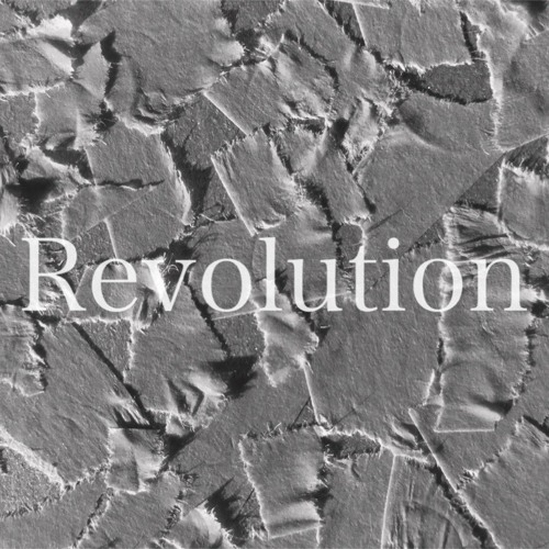 Revolution (original)