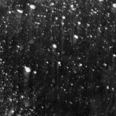 Nights - 22 / Juli Schen