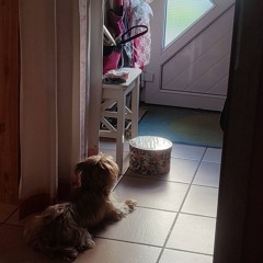 Freedom [ft. LeMachiniste]