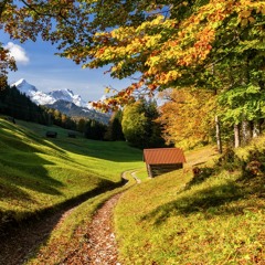 Der Bauii(H.D.C.) - Violent !