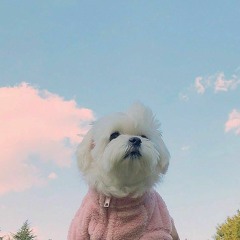 죠지 aura (Cover)