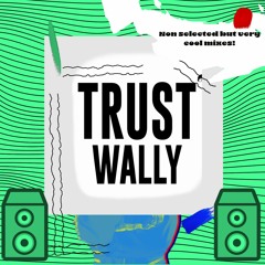 TRUST WALLY(Non selected but very cool)