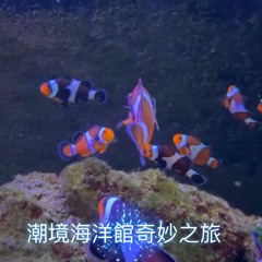 潮境海洋館奇妙之旅.mp3