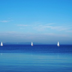 Marshmello, Ellie Goulding, AVAION - Save My Love (exosoul remix)