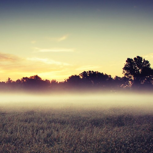 Fields