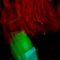 open_door01