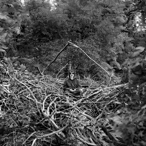 Tree - Devils Girl