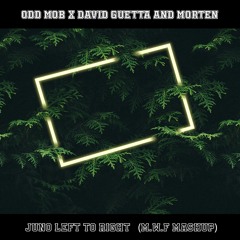 Odd Mob X David Guetta And Morten - Juno Left To Right ( M.W.F Mashup)
