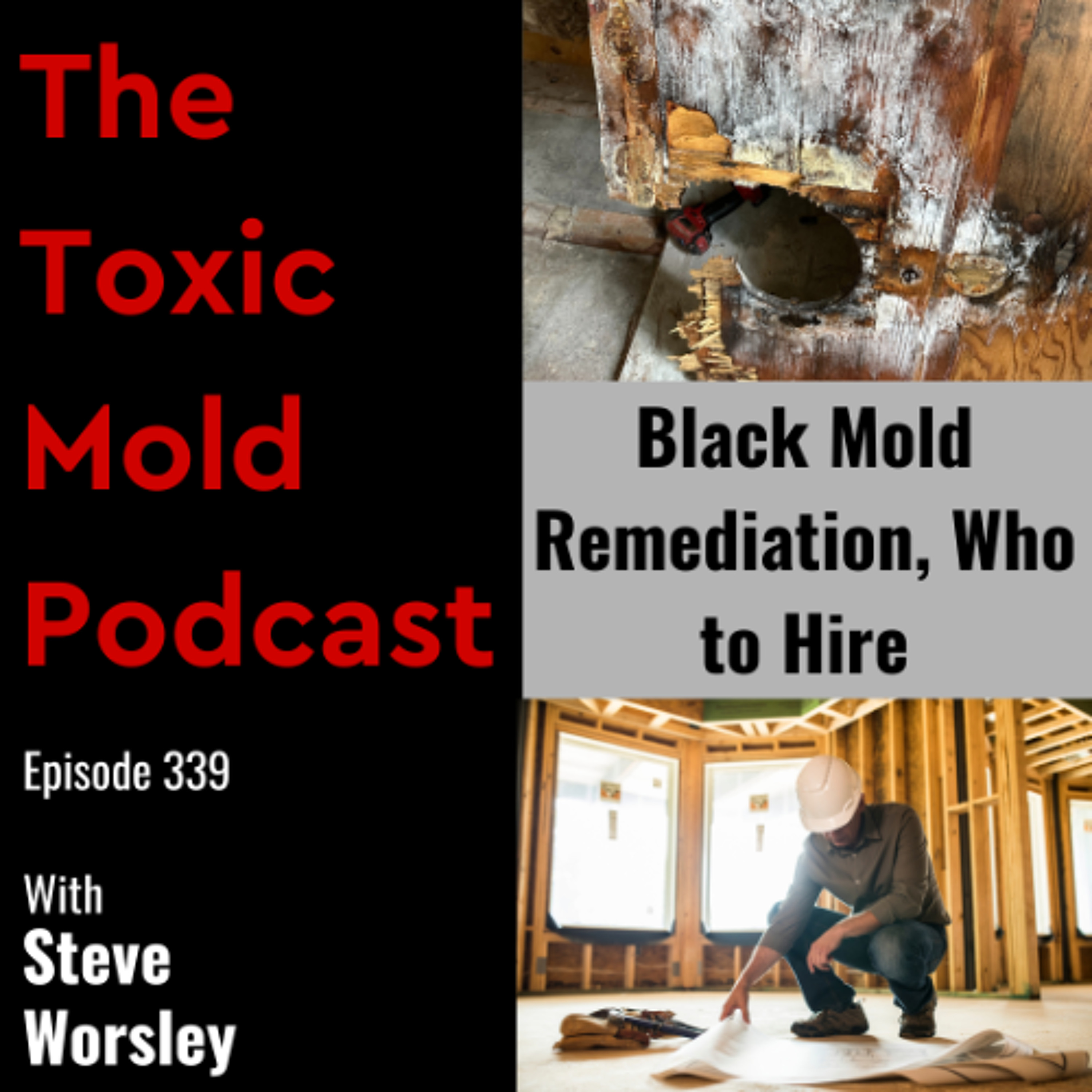 The Toxic Mold Podcast