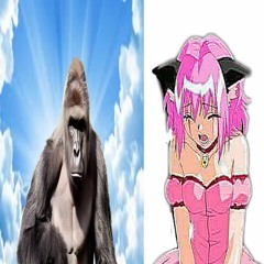 i dont like u any<  literally wtf im scared w/Jesus *@dyrem