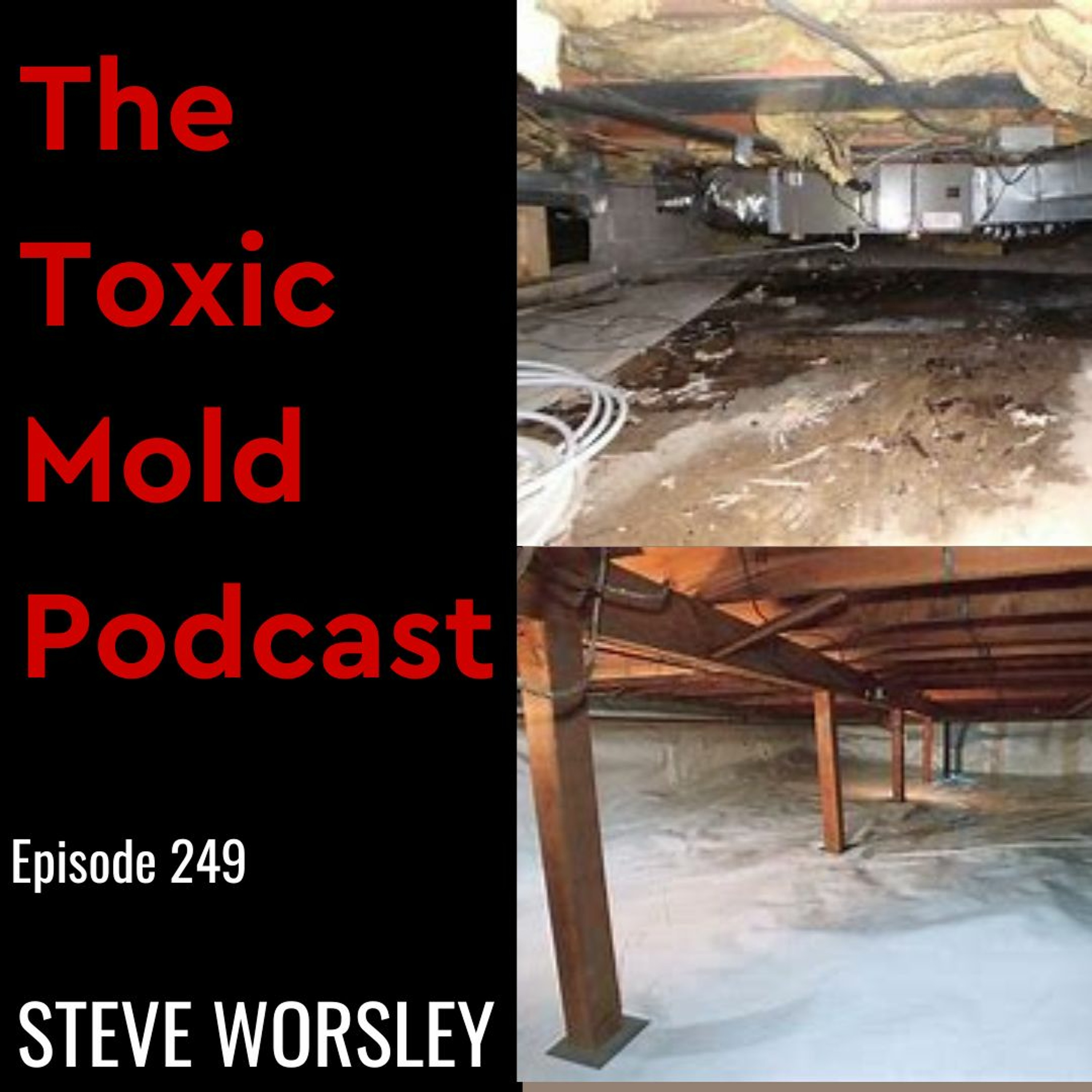The Toxic Mold Podcast