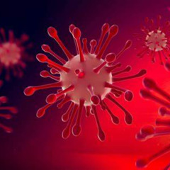 The DarkGrand Mark C