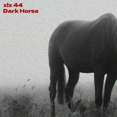 Dark Horse 黑馬 (Prod. xlx 44)