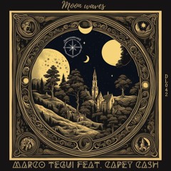 Marco Tegui Feat. Capey Cash - Moon waves (DL042)