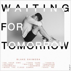Blake Shimoda - Save Me (Kenney remix)