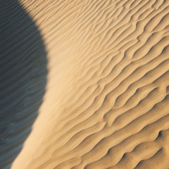 introspectiva • Sub Accent