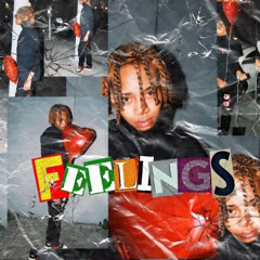 Feelings