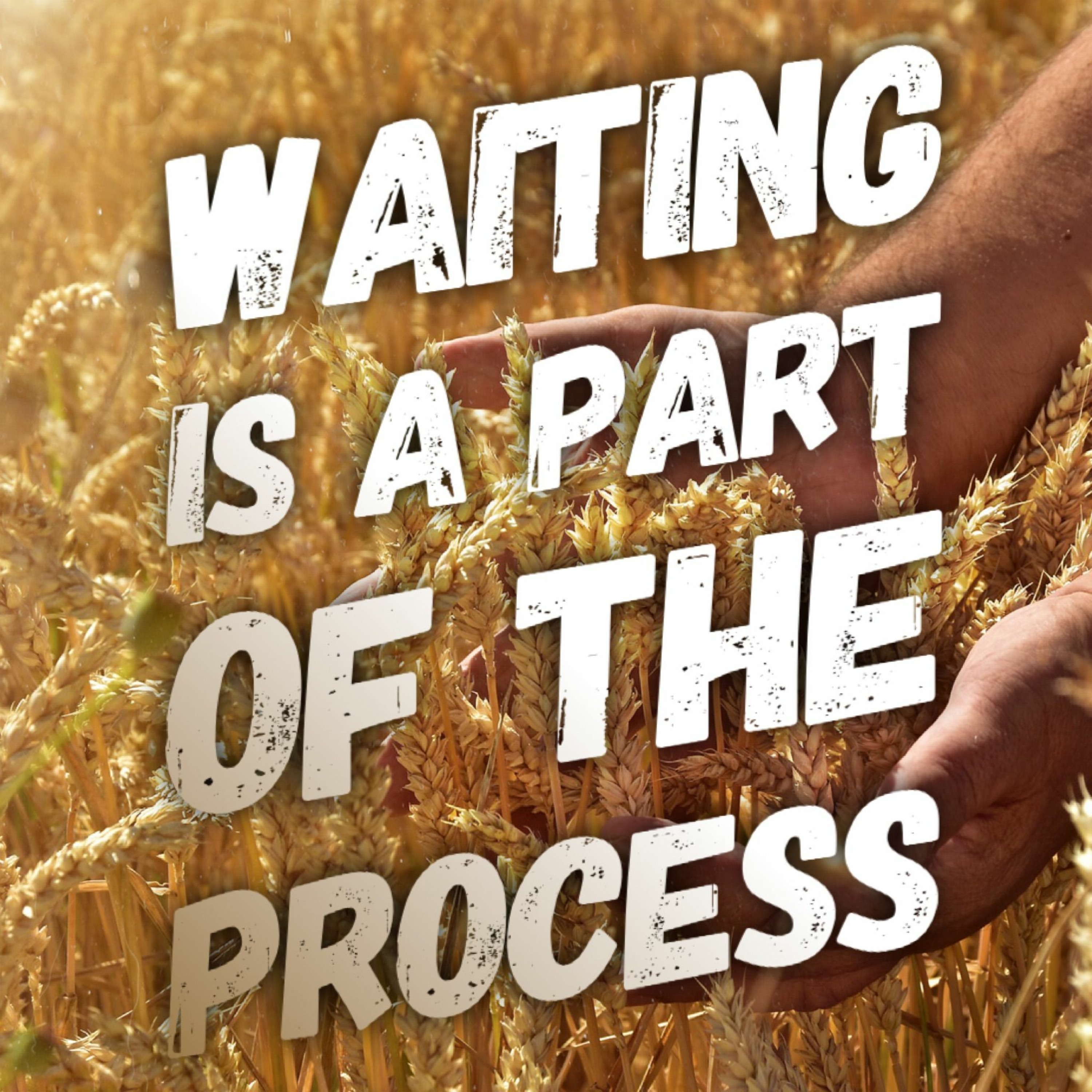 12/12/21 - Waiting Is A Part Of The Process episode artwork
