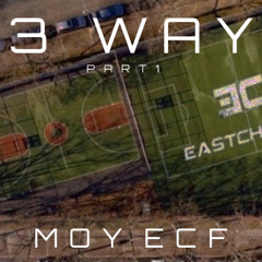 Moy Ecf - Purgin