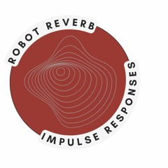 01 - Robot Reverb - VOCALS