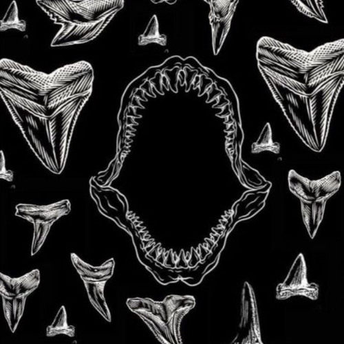 TH;EN , Baset , Nick Matthew - My Head x Scumrun [Shark Mash-Up]