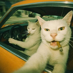 ~ JANGAN ADA ANJING DIANTARA KITA #KENAPA?