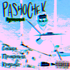 PASHOCHEK Курганский - На берегу неба (2лт Witch House RMX)