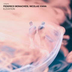 Federico Monachesi, Nicolas Viana - Elevation (Original Mix) [Or Two Strangers]
