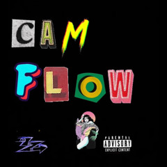 Cam Flow