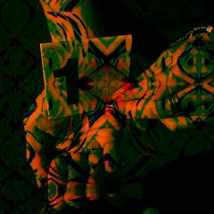 2CB$LAJM - NIKDY NECHCI BYT NA JEJICH MISTE/PROD.ambientarchive